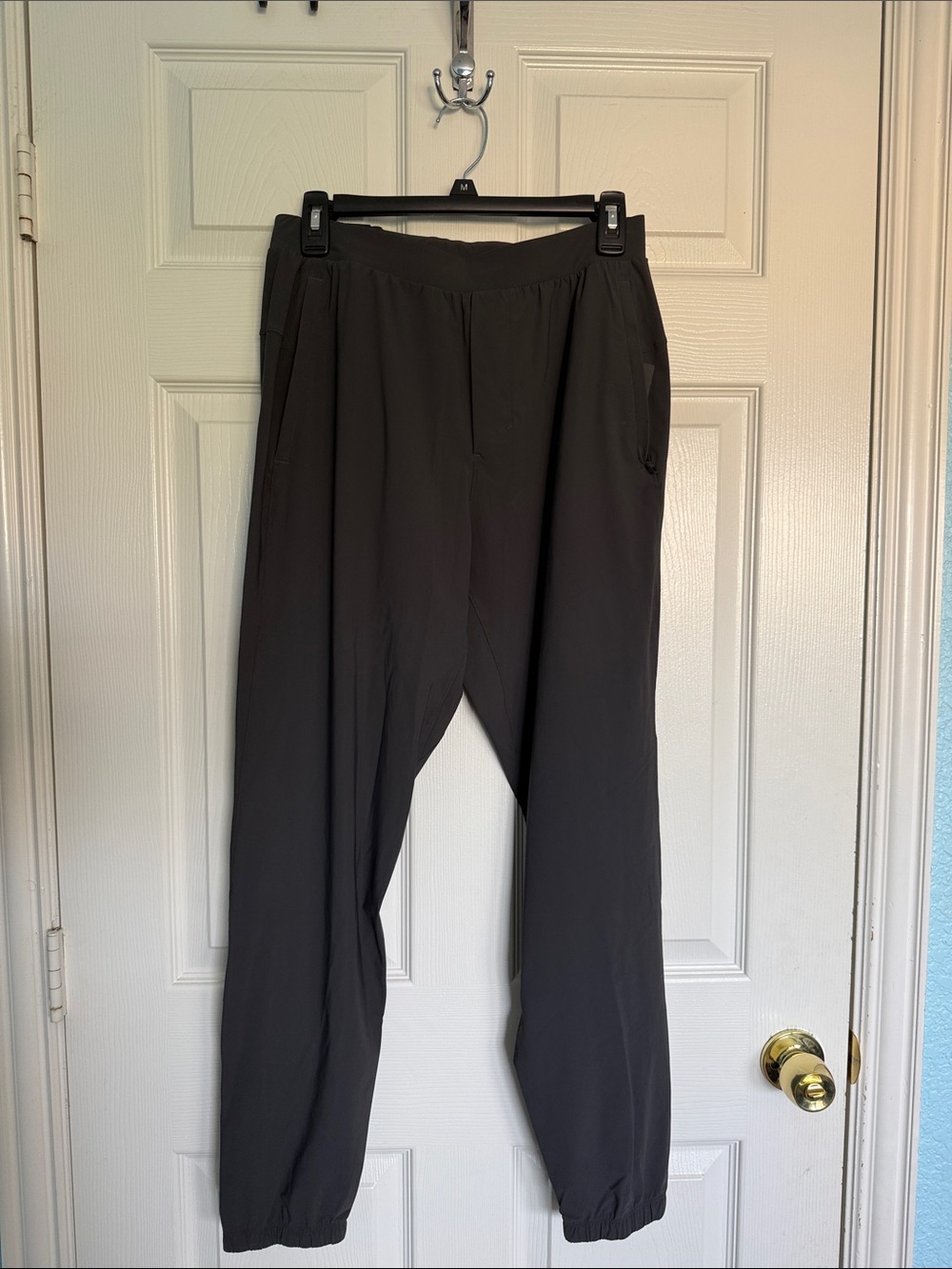 Lululemon Surge joggers
